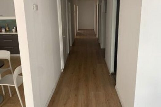 175 מ"ר, פינתיים שטופי אור טבעי