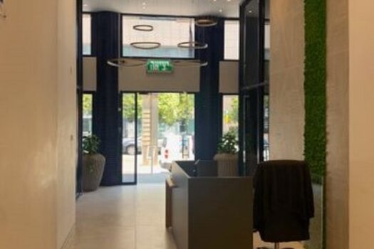 125 / 220 / 300 מ"ר, יימסר בגמר מעוצב..